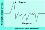 Hypothetical chart of changes after orgasm